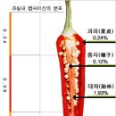 술담 이미지