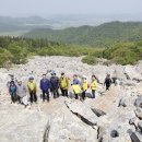 달마고도 이미지