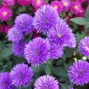 한양도성(남산구간) 이미지