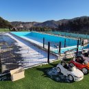 비비&숑숑 반려견펜션 이미지