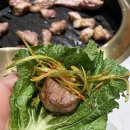 세기재료 이미지