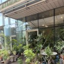 영전농장 | 세종 첫인사선물 어진동 ‘리브위드’ 호접란 화분 보자기포장 구매후기