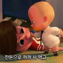 보스참치 이미지