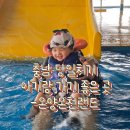 워시랜드 원주점 | 추운 날, 아기랑 온천과 찜질방 둘 다 가보고 싶다면 온양온천랜드 (준비물. 팁.할인정보)