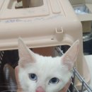 선부119안전센터 이미지