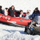 평창송어 이미지