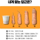 효심 농장 | 구좌당근 제주 흙당근 산지직송 햇당근 주스용 5kg 10kg