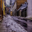 거북이여인숙 이미지