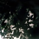 에스더블유 이미지