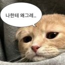 금곡대로 303번길 이미지