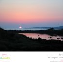 하모리-20 이미지