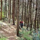 동복목장 이미지