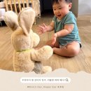 퍼피퍼피 | 18개월아기장난감으로 딱! 춤추고노래하는커들반퍼피베니 후기!