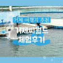 거제 씨월드 후기, 벨루가 &amp; 돌고래 (할인, 공연, 수족관)