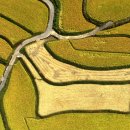 사포마을 이미지