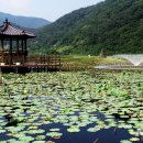 상리공원 내 이미지