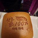 남대전농협 하나로마트 | 하레하레, 대전 빵지순례 필수코스집답게 입이 즐거웠던 솔직 방문 후기