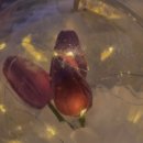 예쁜데이(DAY)헤어샵 | 수원 행궁 봄데이트🌸놀거리 방화수류정에서 저녁소풍✨️할 수 있는 피크닉데이 대여후기