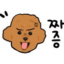 슈슈댕 이미지