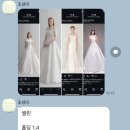 [결혼준비 D-92] 드레스투어 플래너vs워크인?! 모네뜨아르 더에이미(0) 셀린아뜰리에 드투 후기