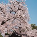 3STAR PC 카페 이미지