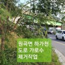 원곡1로 이미지