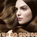 아르간헤어 이미지