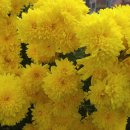 장수공원 이미지