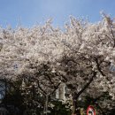 대방천로14길 이미지