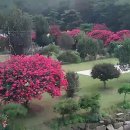 창녕 개비리길 펜션 이미지