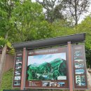 전남 보성 제암산,사자산, 일림산 철쭉산행 이미지