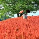 또랑 - 영등포구 영등포로84길 9 | 또랑