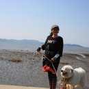 바다요정 이미지