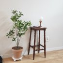 라비스테이 이미지