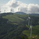 2025년10월18~19일 토요 무박 백두대간 6기 대간19회차 진고개~노인봉~대관령(가을 여행) 이미지