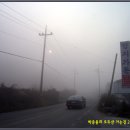 일산1리 Daum카페