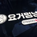 요거멍냥