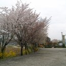 방초초등학교 이미지