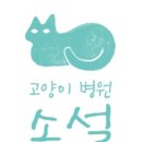 고양이병원 소설 이미지