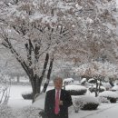 상운중학교 이미지