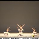 노블발레무용학원 이미지