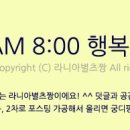 티유잉글리쉬