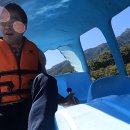 구미가 당기다 이미지