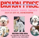 뽀송그루밍 이미지