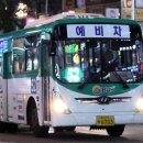 성일운수 네이버블로그