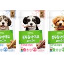 건 덴탈 이미지