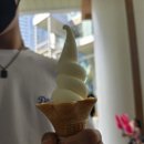 진한소프트 이미지