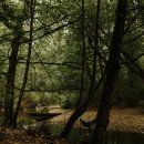 후계자축산 이미지