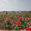 제천꽃농원