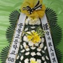 삼삼오오회